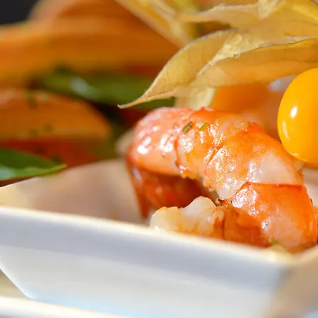 Plaza Koeln 4* Pulheim